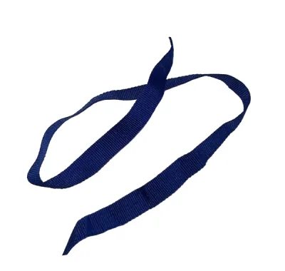 Лента репсовая, ширина 10 мм, длина 1 м, синяя