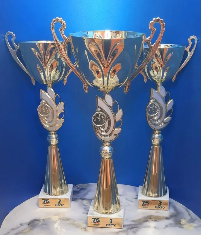 Кубок спортивный (арт. 522), серый мрамор