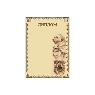 Диплом для выставок собак D6