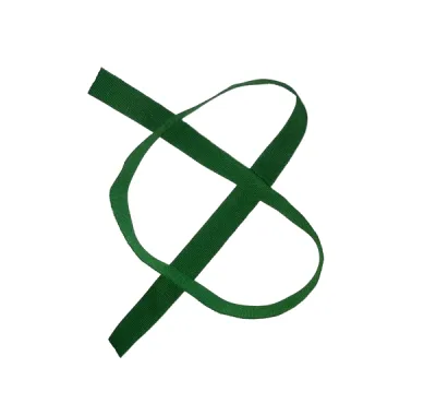 Лента для бейджа, ширина 15 мм, длина 1 м, зелёная
