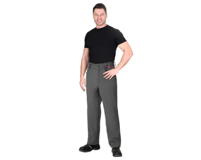 Брюки "Азов" софтшелл серые