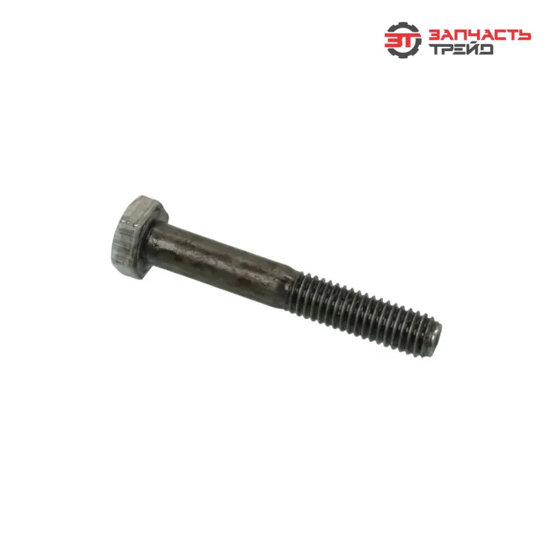 Болт с шестигранной головкой М06х040 (ГОСТ 7798-70) (1 кг)