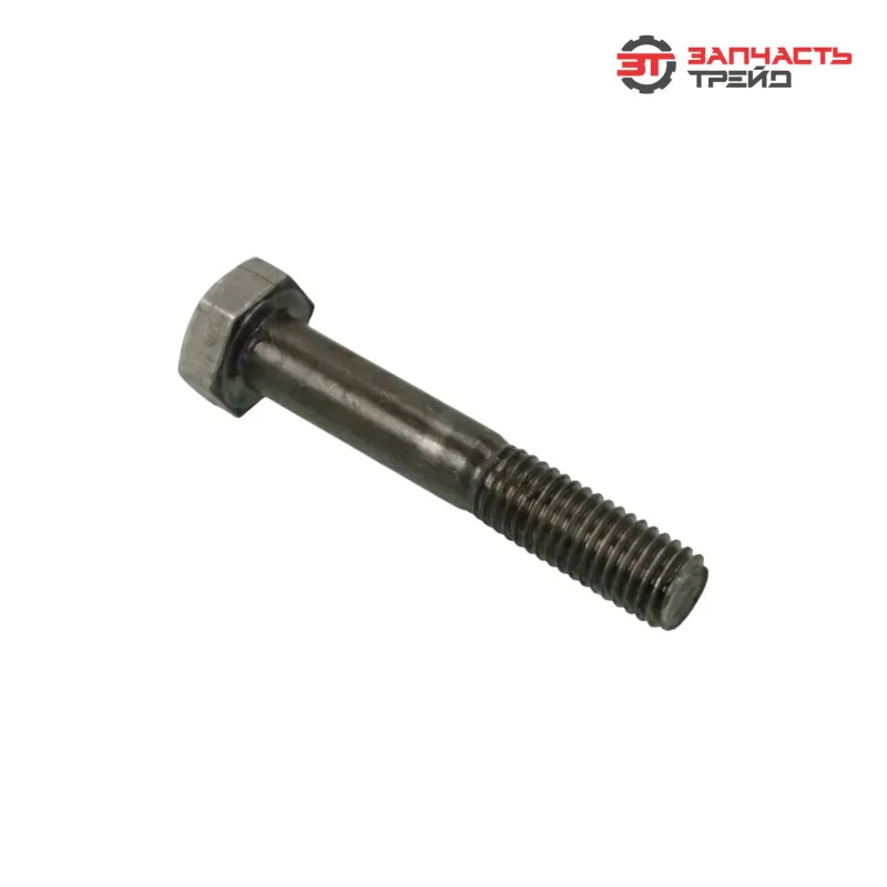 Болт с шестигранной головкой М10х060 (ГОСТ 7798-70) (1 кг)