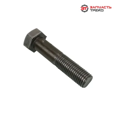 Болт с шестигранной головкой М20х090 (ГОСТ 7798-70) (1 кг)