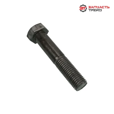Болт с шестигранной головкой М20х100 (ГОСТ 7798-70) (1 кг)