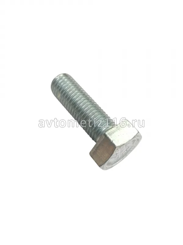 Болт М10*30*1,25 крышки р/штанги (Белебей)
