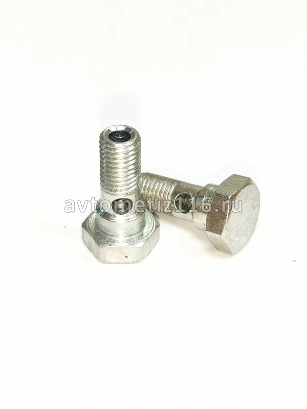 Болт топливный М8х1-6g-21 (трубки топливной КАМАЗ Евро-3)