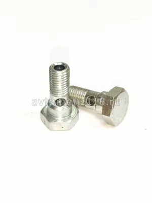 Болт топливный М8х1-6g-21 (трубки топливной КАМАЗ Евро-3)