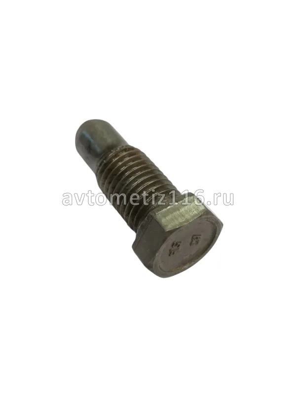 Винт (болт) М10*25*1,25 установочный вилки МОД БелЗАН
