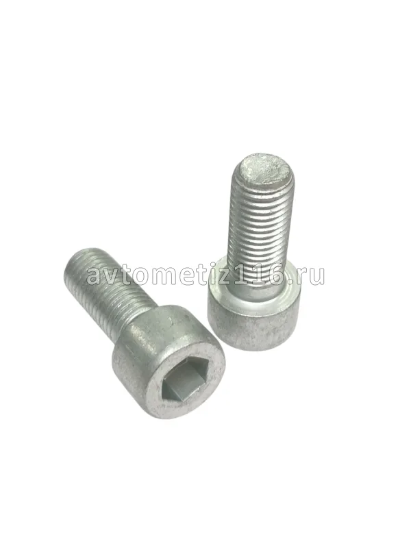 Винт М10*25*1,25 с внутр. шестигранником электромуфты БелЗАН