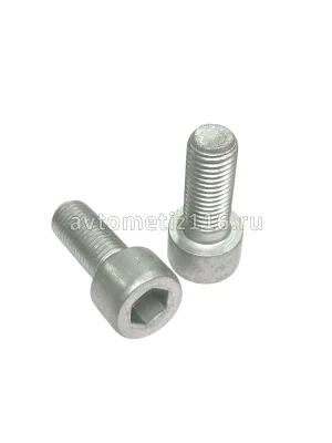 Винт М10*25*1,25 с внутр. шестигранником электромуфты БелЗАН