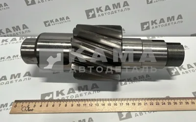 шестерня редуктора цил.пары 53205-2402110-10 13зуб (13/49) ЗАВОД*