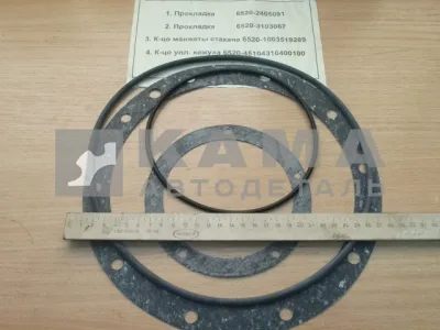 р/к прокладок ступицы Задней 6520 (бортового редуктора) 4 наим. (РТИ)
