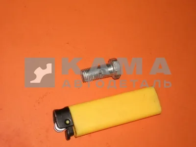 штуцер-болт М10х1,25 обратки форсунки (870007)(п9)170.255