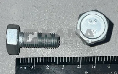 болт М10 х25х1,25 (1-59707-21)