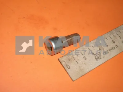 болт М10 х25 шестигранник внутр. 740.30-1317008 (на электромуфту)(п51)(У14)