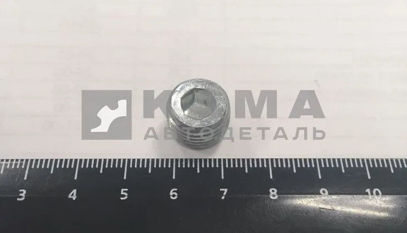 пробка КГ 1/4" заглушки вод. полости 45-9931113-20 (4599311132)