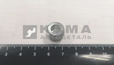 пробка КГ 1/4" заглушки вод. полости 45-9931113-20 (4599311132)