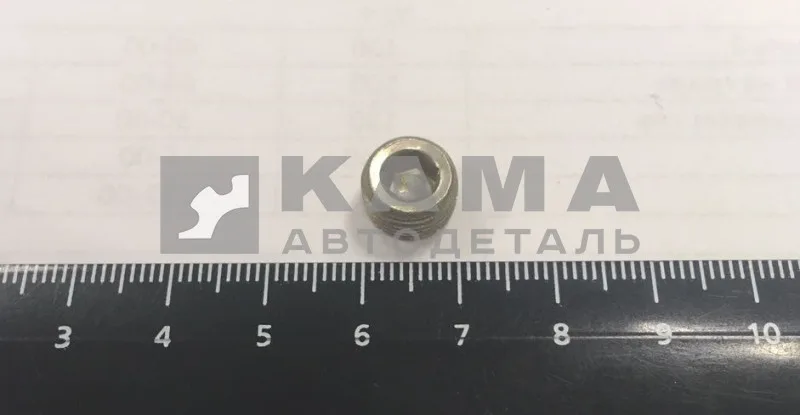 пробка КГ 1/8" масляного канала 870884
