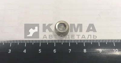 пробка КГ 1/8" масляного канала 870884