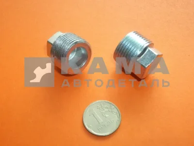 пробка М22х1,5 (ключ х17,выемка) крышки башмака балансира ( КГ1/2";1/43244/11; 262512) (п114)(У51)