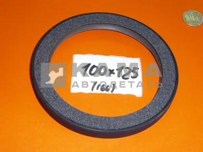 сальник 100х125х12 ("войлок"- SKT) гидромуфты 740.1318166 410457-FR