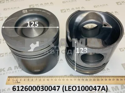 поршень Вичай WP10 (D=125,H=123,E-2,340/380 лс) LEO100047A (612600030047) Шакман