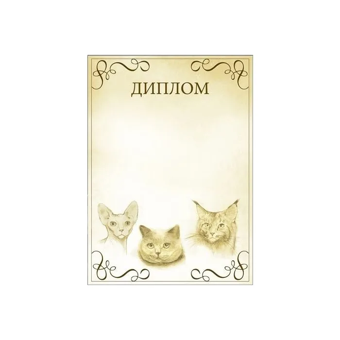 Диплом для выставок кошек (арт.D15)
