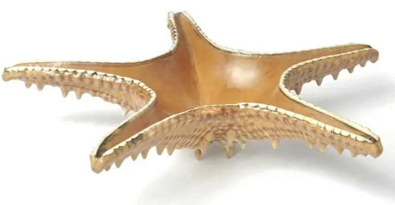 Блюдо 28 см, 100 мл, керамика "Frutti di Mare" P.L.