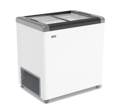 Ларь морозильный FROSTOR GELLAR FG 250 C (Прямое стекло)