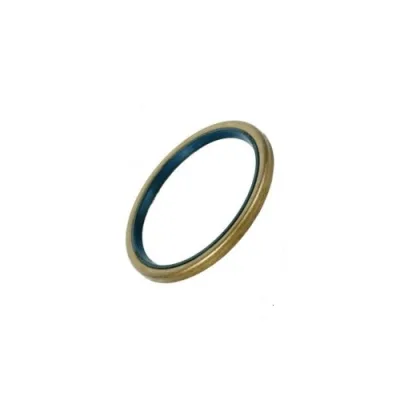 Сальник уплотнение 50*60*4 Carraro