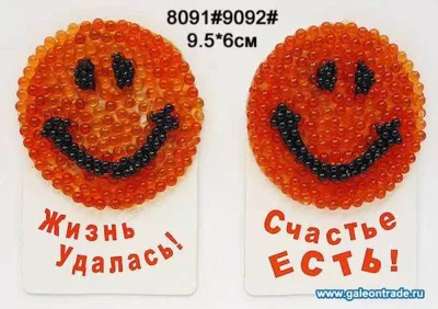 Магнит "Жизнь удалась,счастье есть" *12/1200