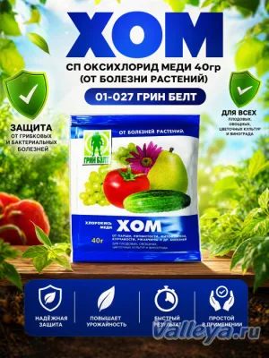 Хом, СП оксихлорид меди 40гр (от болезни растений) 01-027 Грин Белт