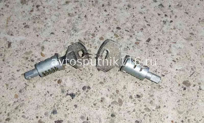 Личинка замка двери