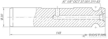 Палец ушка рессоры 65115 и 6520 (РОСТАР)