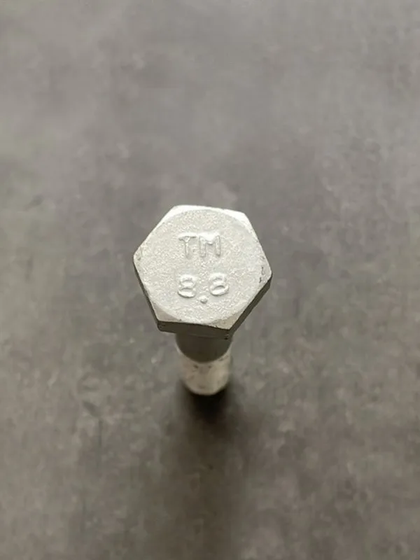 Болт М10х55х1,25 1/58887/21
