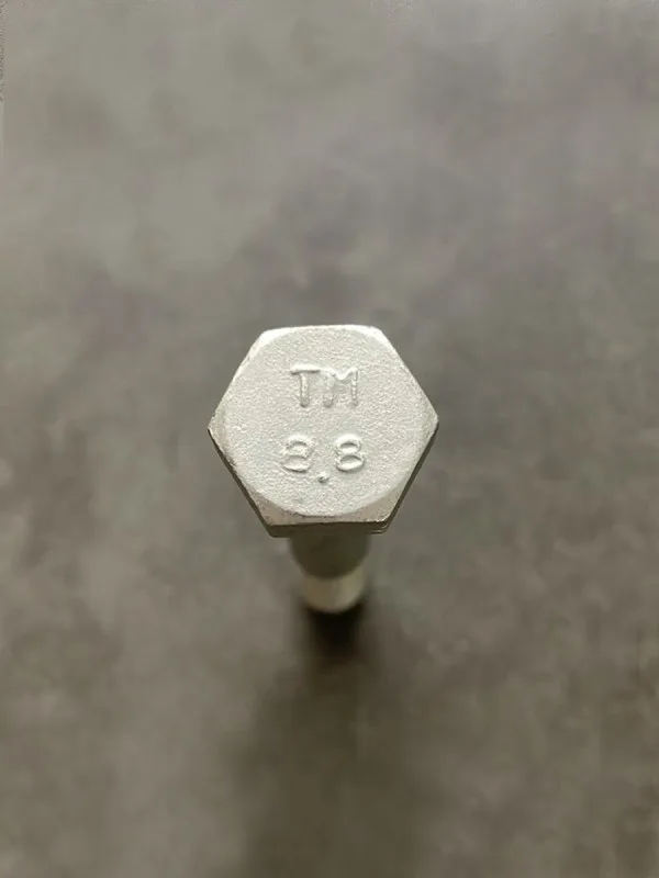 Болт М10х70х1,25 1/58888/21