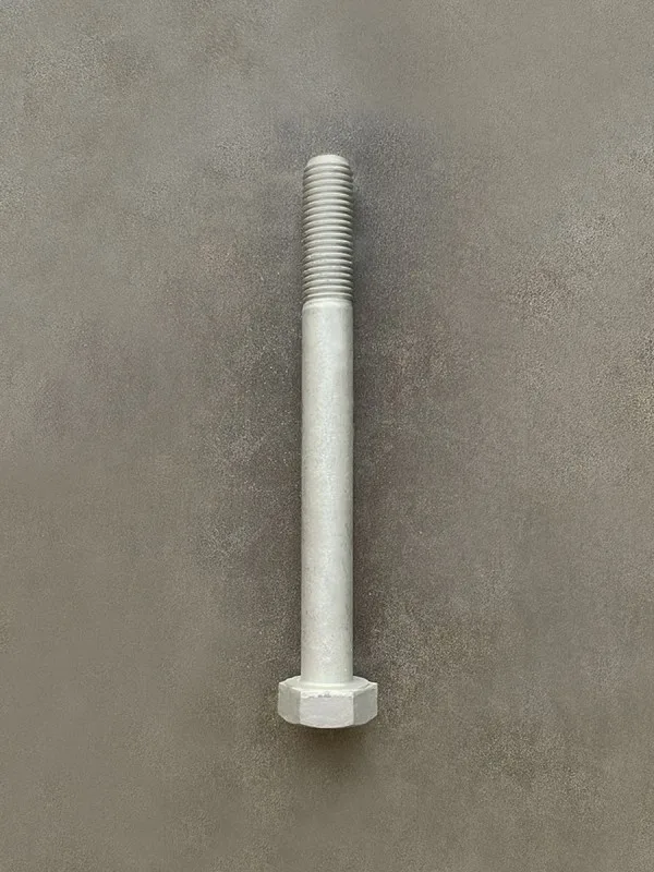 Болт М10х100х1,25 1/59718/21