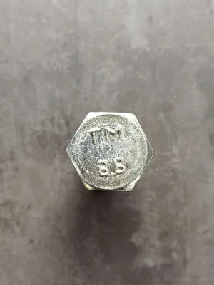 Болт М20х100х1,5 1/59891/21