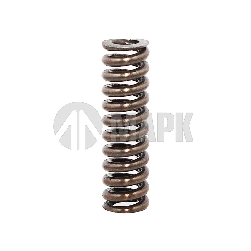 Пружина нажимная (ZF 0732 040 409) EURORICAMBI