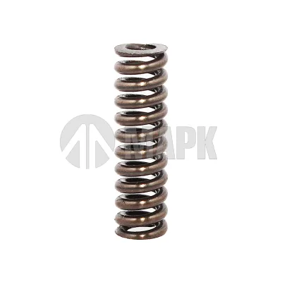 Пружина нажимная (ZF 0732 040 409) EURORICAMBI