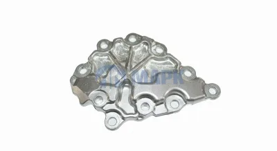 Крышка масляного насоса (ZF 1315 302 120) (Euroricambi)