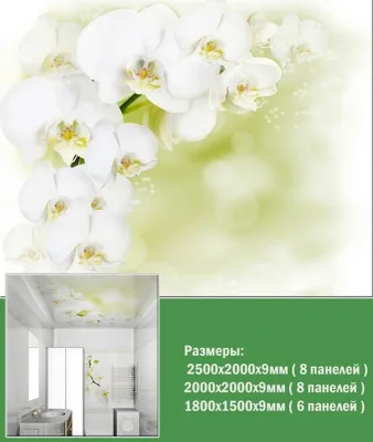 Панель потолочный ПВХ Орхидея белая 2,0*2,0