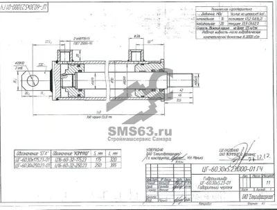 Гидроцилиндр разравнивателя, крышка ЦГ-60.30х250.23-01