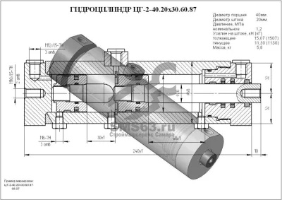 ЦГ-2-40.20х30.60.87 Гидроцилиндр