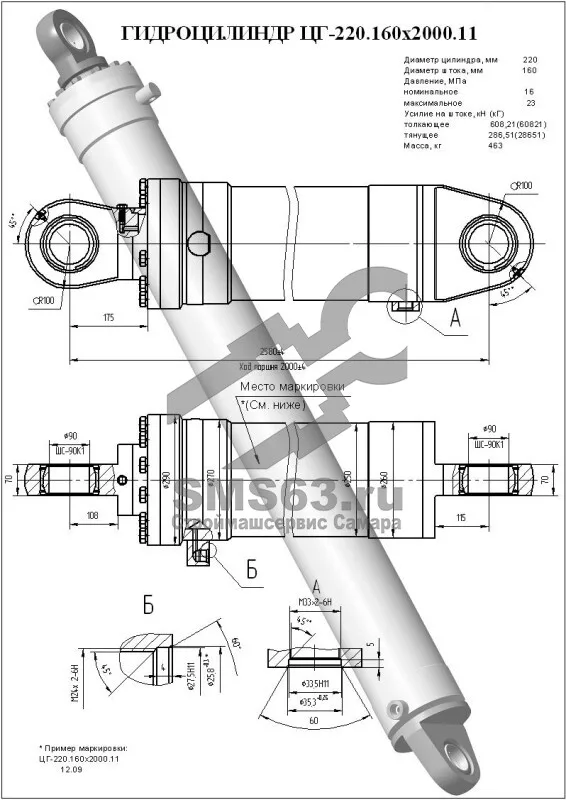 ЦГ-220.160х2000.11 Гидроцилиндр подъема стрелы автокрана (КС-45717.63.400-5-01)