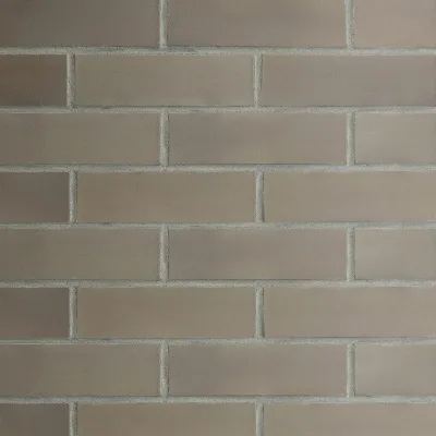 Плитка облицовочная Plato Grey AK, серая гладкая,карамельный от-к (240х71х14),Terramatic