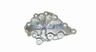 Крышка масляного насоса (ZF 1315 302 120) (Euroricambi)