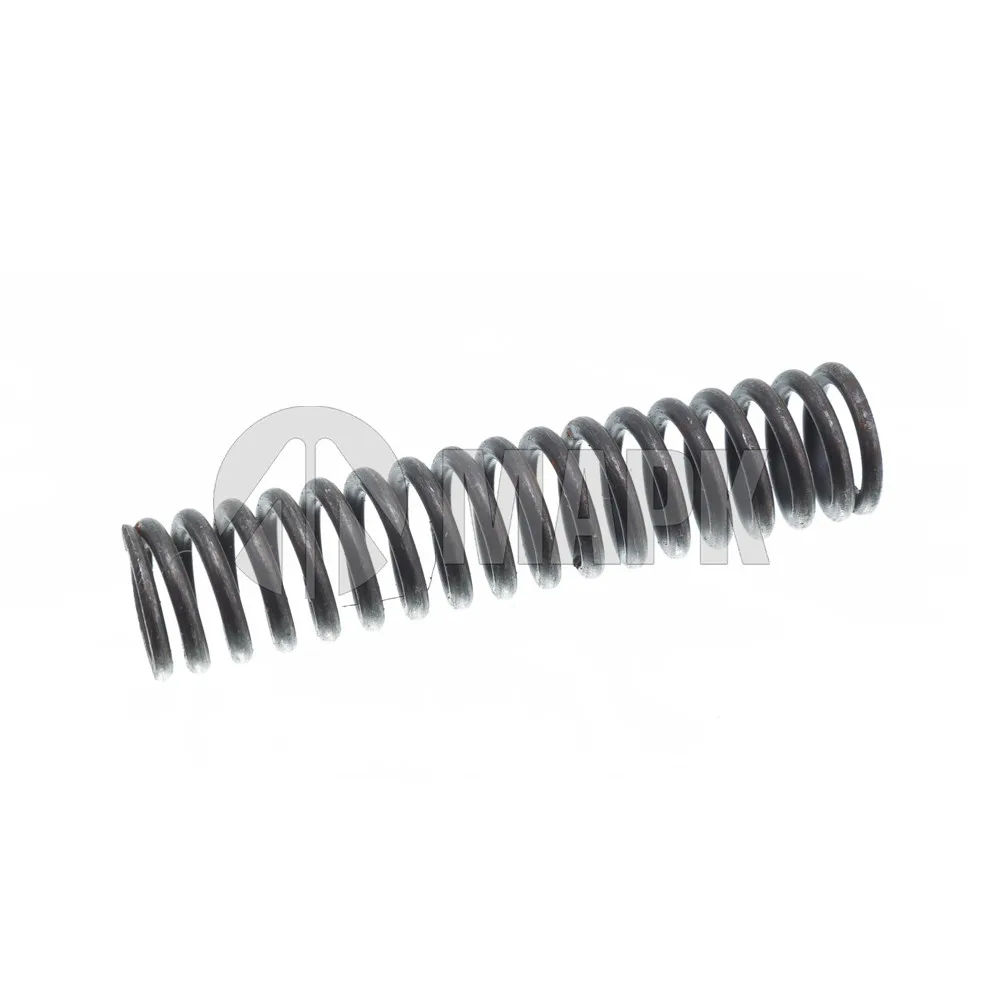 Пружина нажимная (ZF 0732 040 385) Euroricambi