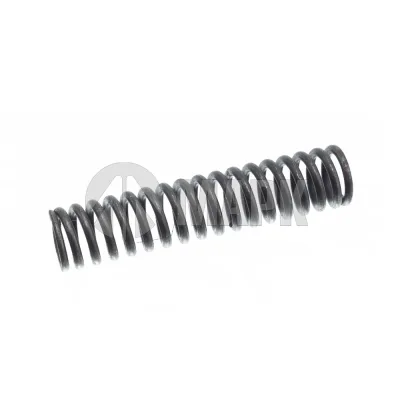 Пружина нажимная (ZF 0732 040 385) Euroricambi